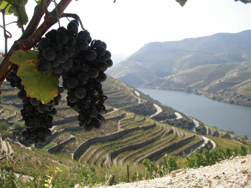 Фото Hotel la Fontaine