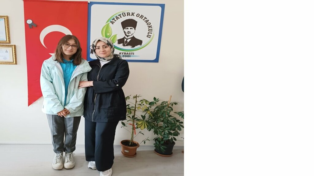 School Ataturk Middle School, Aybasti, photo