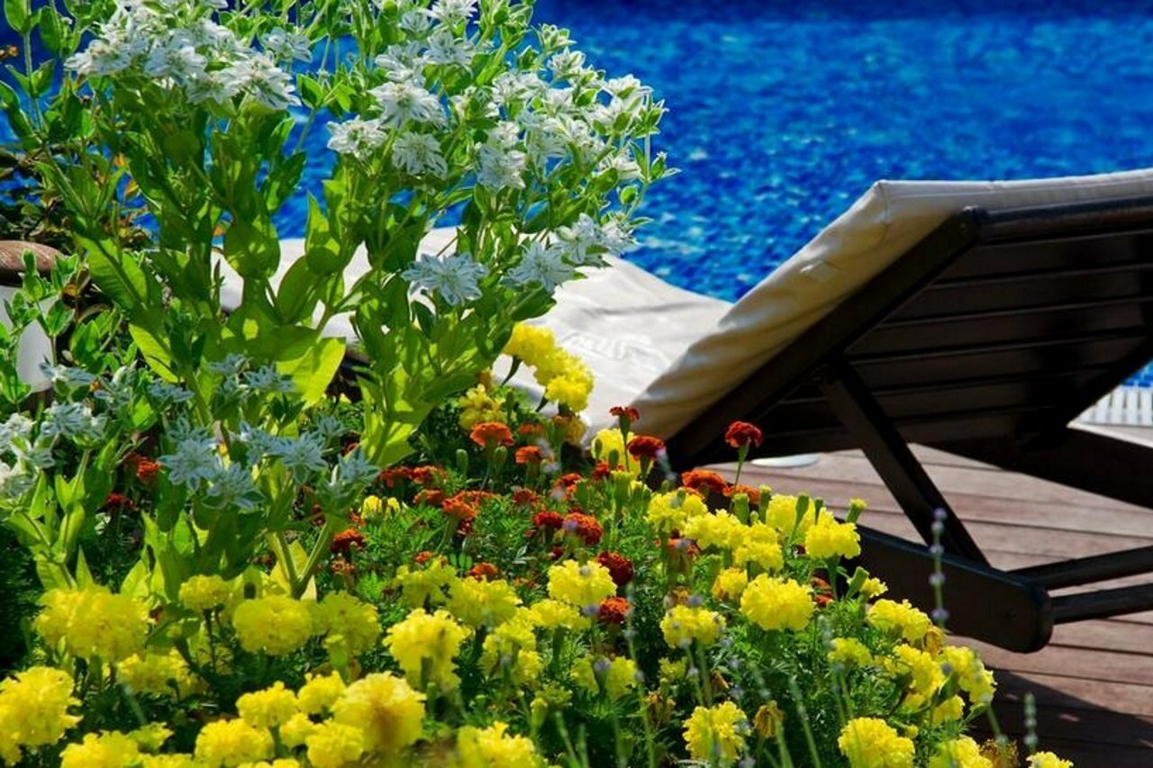 Фото Garden of Eden Complex