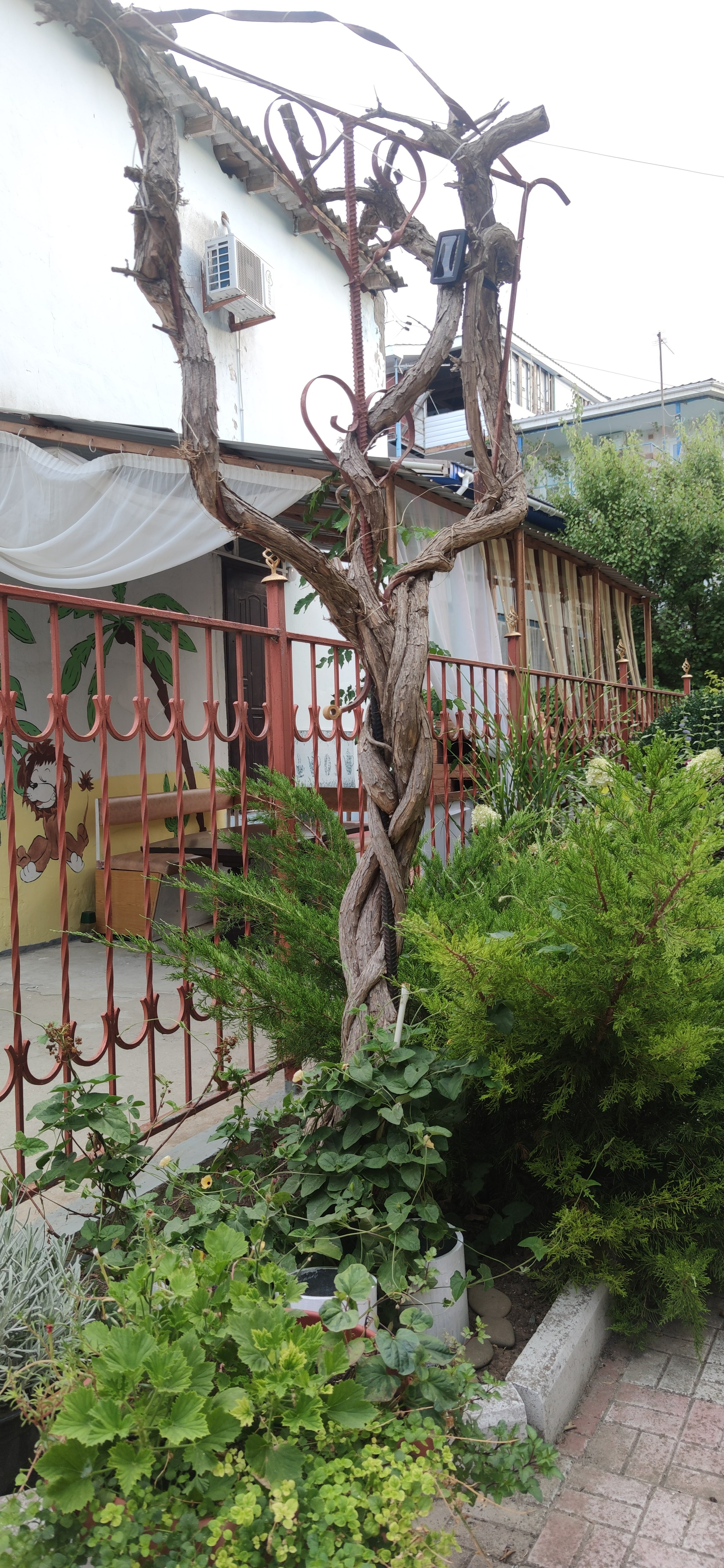 Фото Зеленый дом у маяка