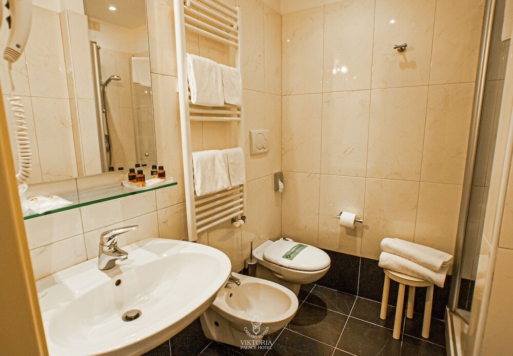 Фото Viktoria Palace Hotel