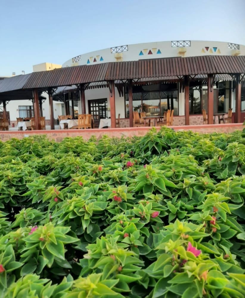 Фото Bliss Nada Beach Resort