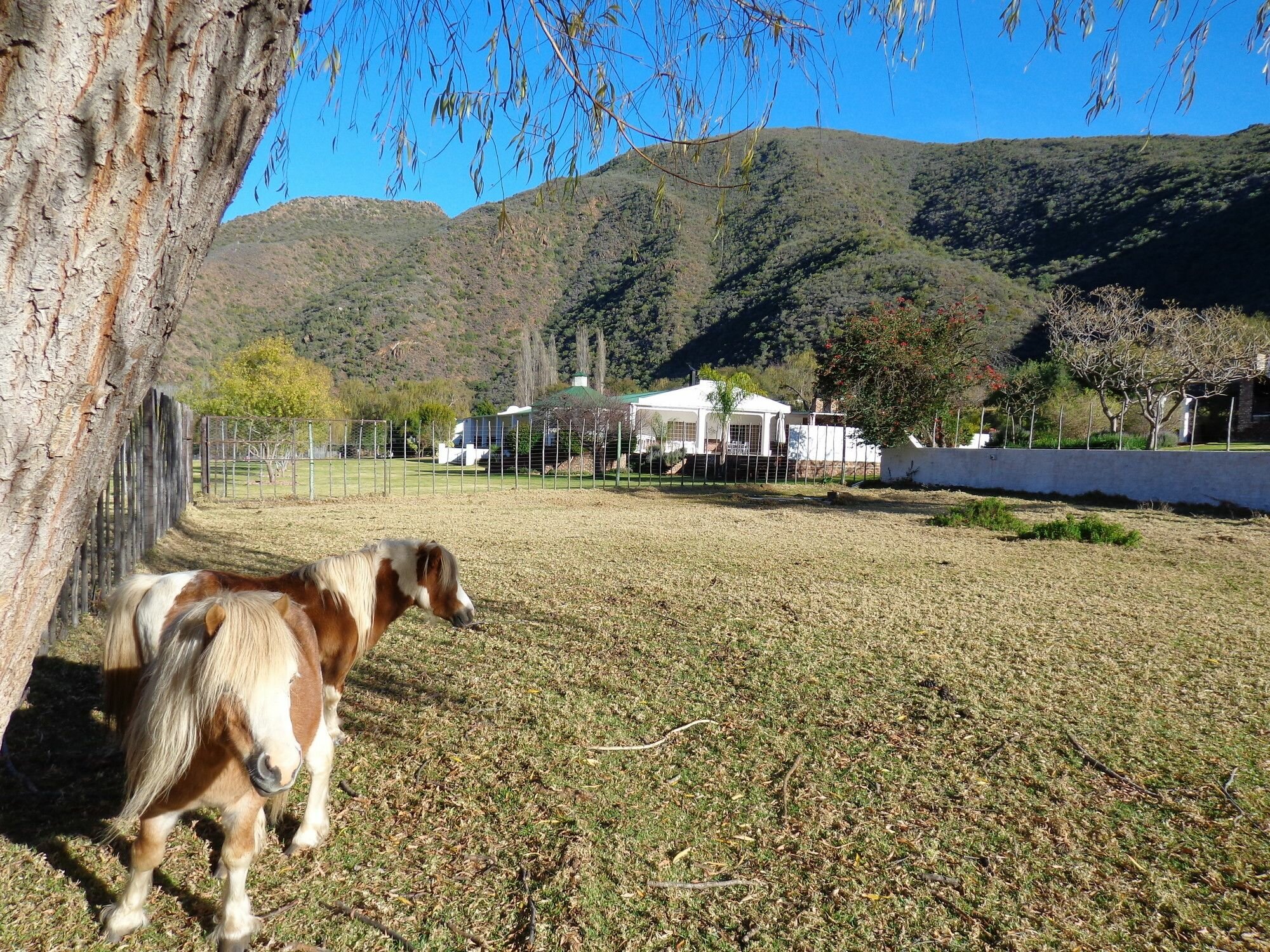 Фото De Oude Meul Country Lodge