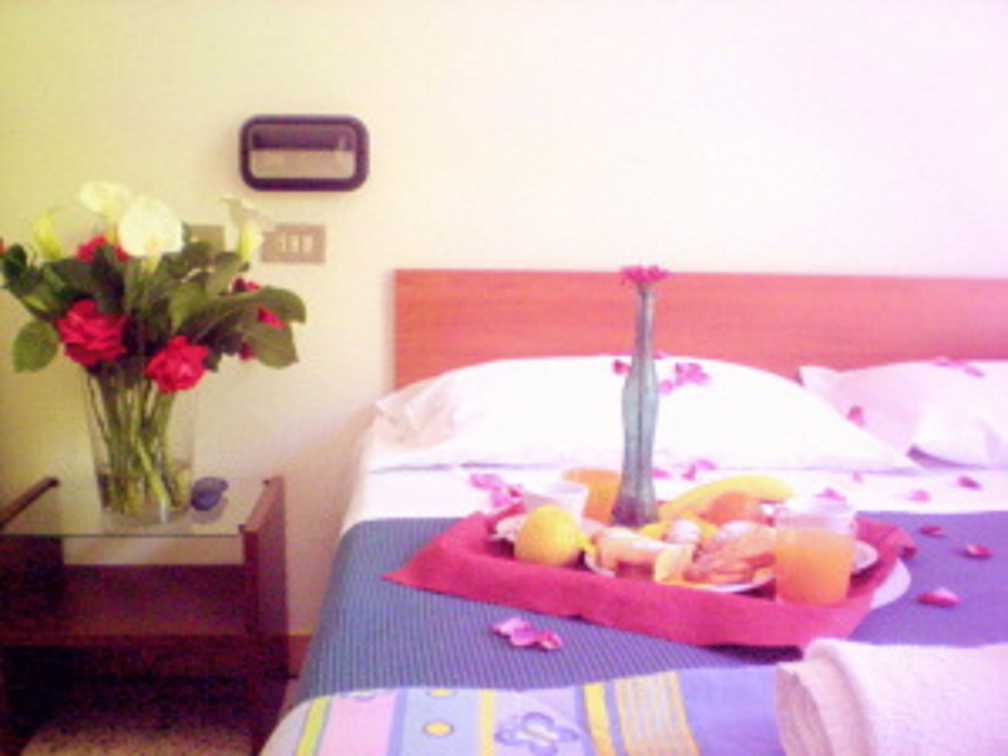 Фото Hotel Criss