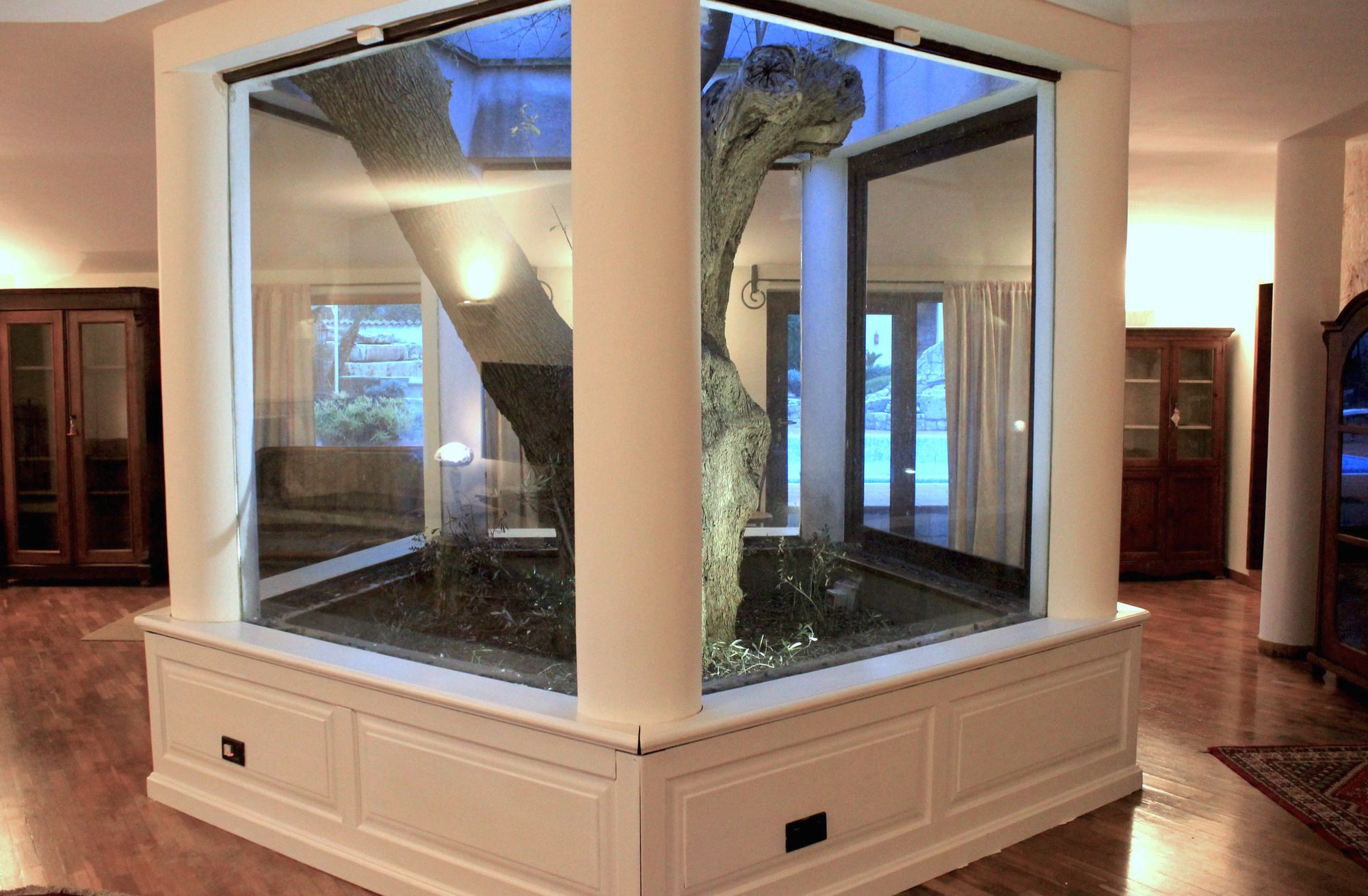 Фото B&b Antico Ulivo