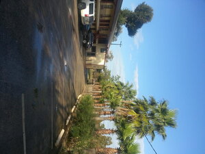 Гостиница Southmore Boulevard Motel