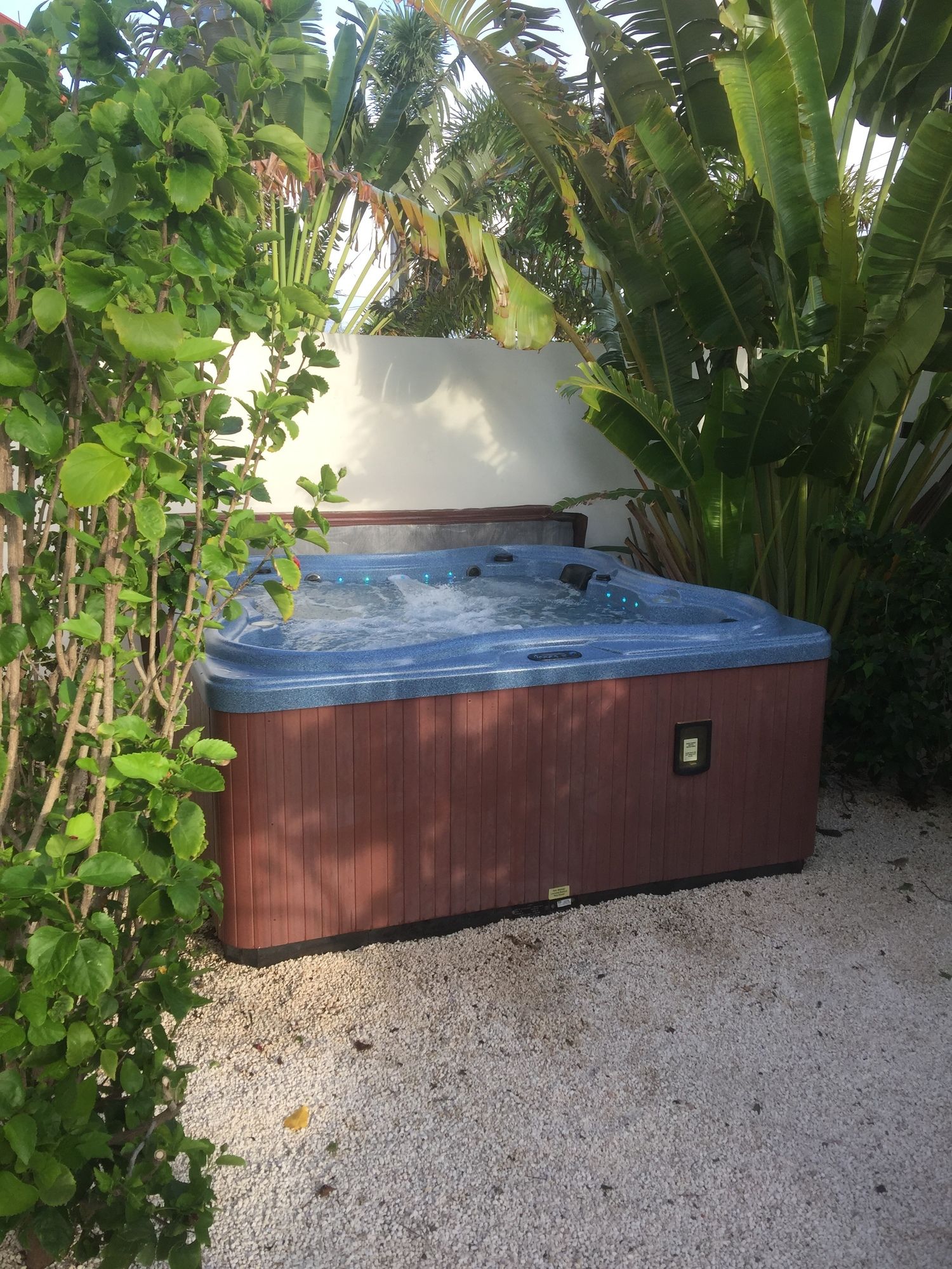 Фото Swiss Paradise Aruba