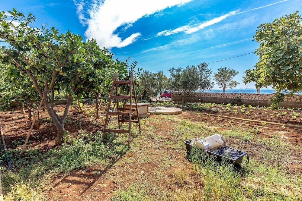 Фото Ivan - 15 m From Beach - A3 Crveni