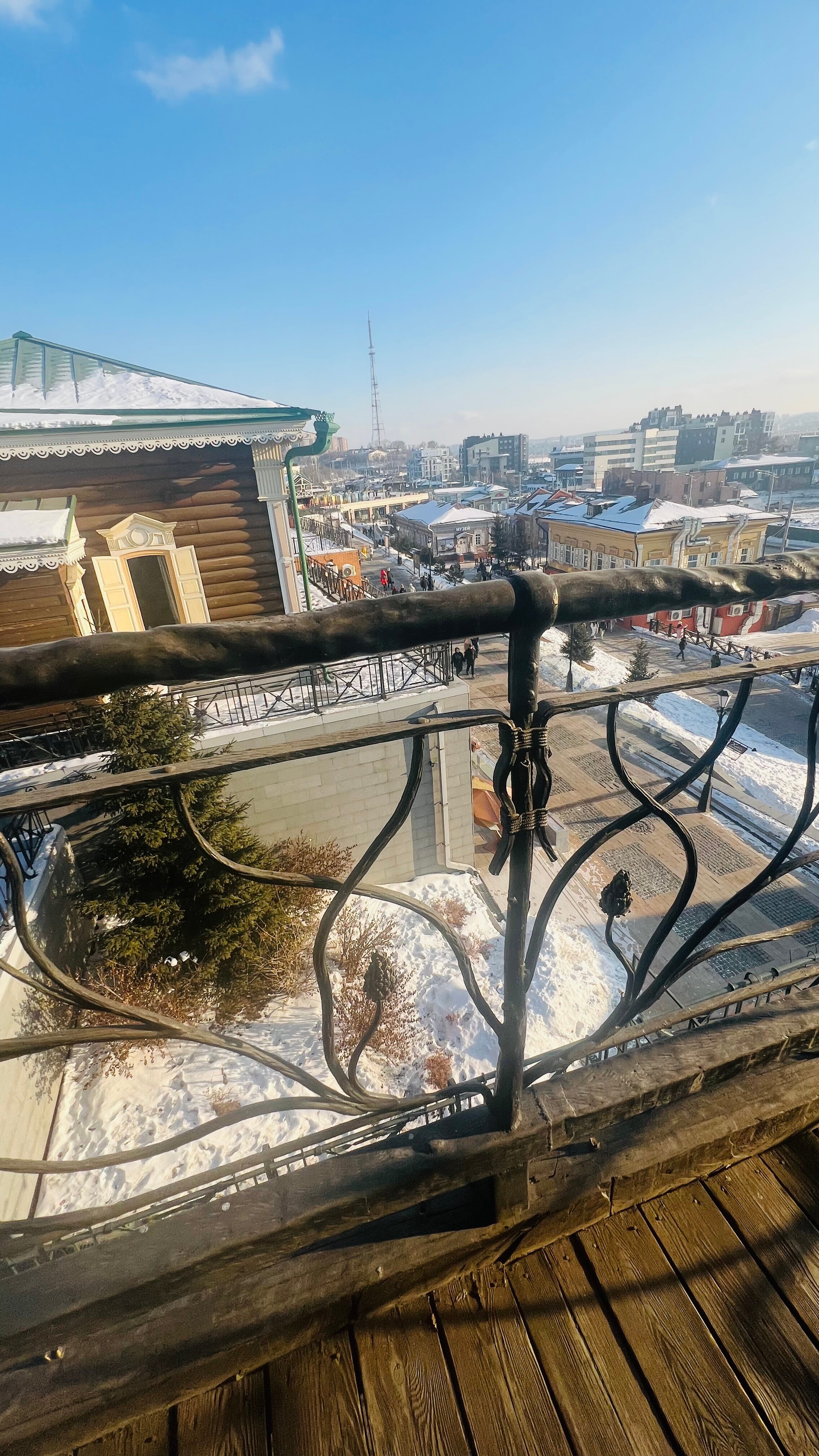 Фото Берёзка