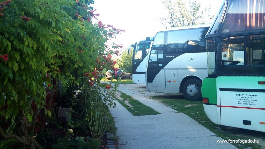 Фото 155849537155