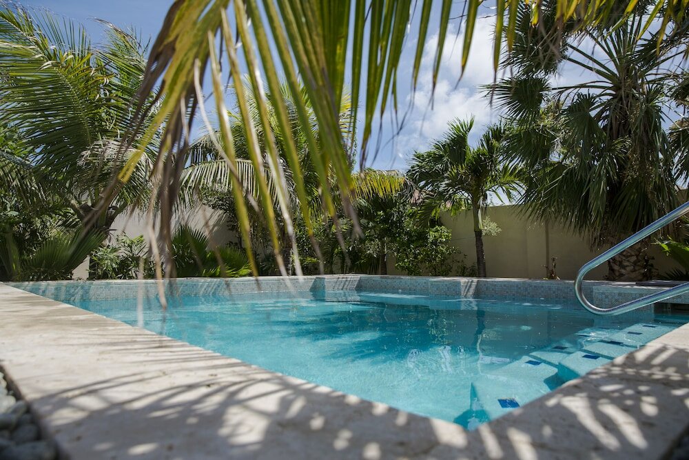 Фото Little Jungle Apartments Aruba