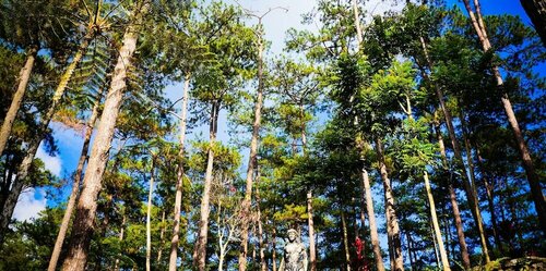 Гостиница 3bu Hostel Baguio в Багио