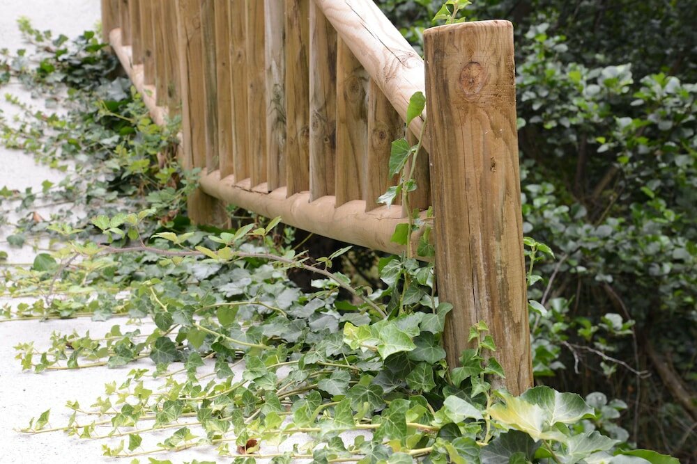 Фото El Rincón de Limés