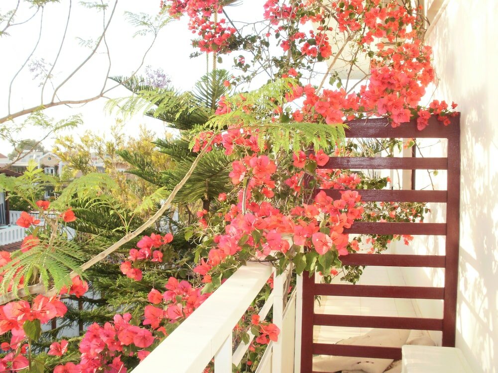 Фото Agii Apostoli Studios