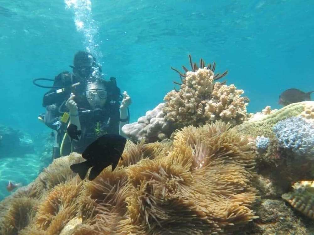 Фото Hqh Sea View Apartment