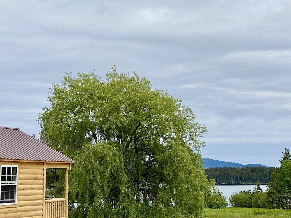 Фото Island View Hotel Bar Harbor