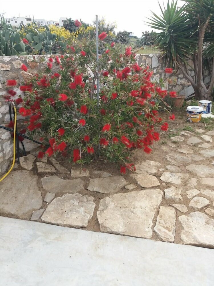Фото The Stone House Naxos