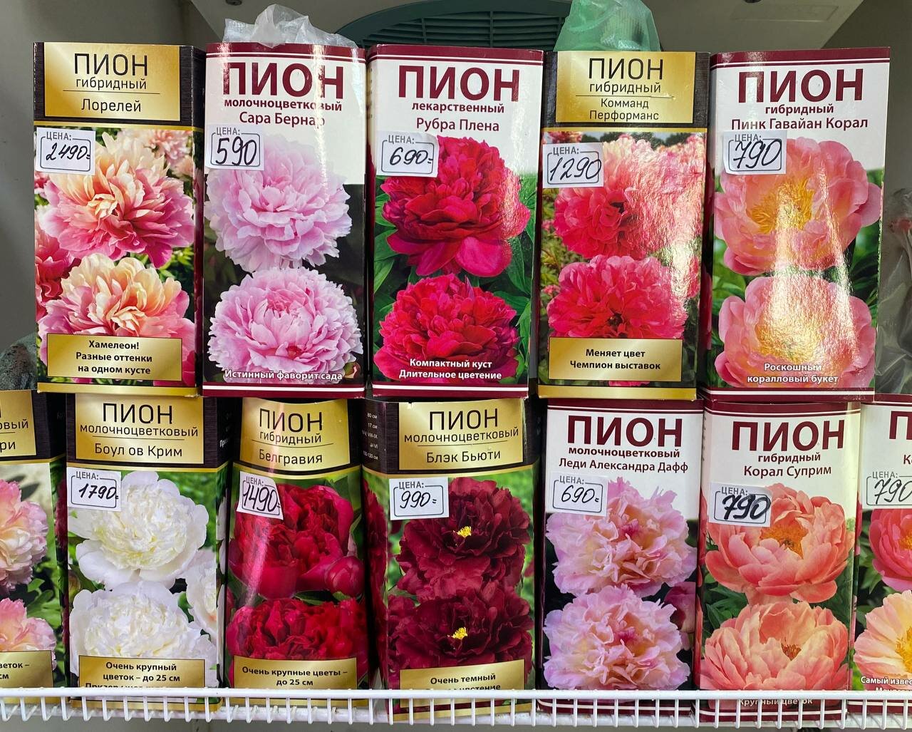 Дачный мир, садовый центр, Залесная ул., 130В, Казань - Яндекс Карты
