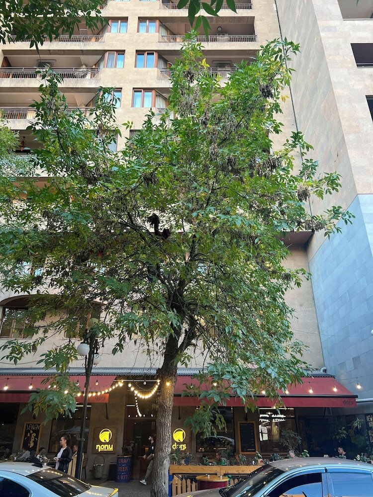 Фото Ararat View Luхury Suite