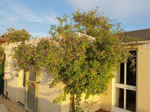 Гостиница Stunning 5-bed Farmhouse in Malta