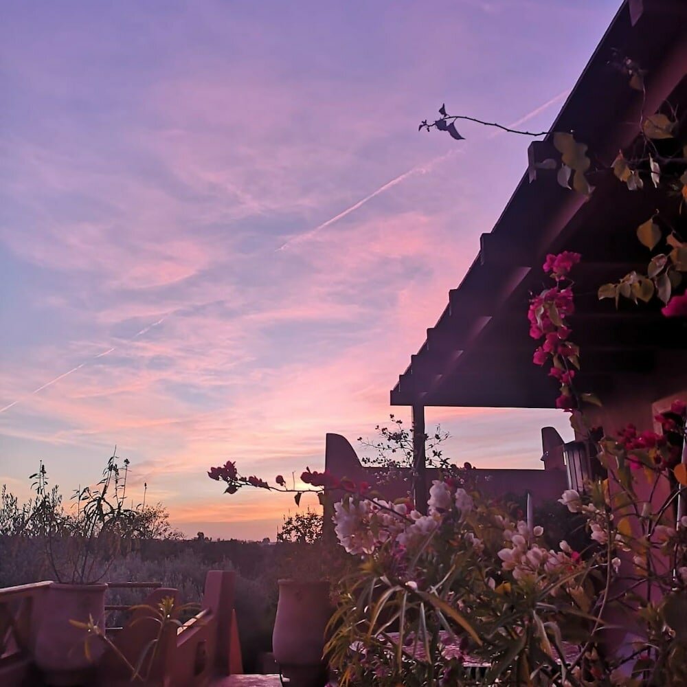 Фото GreenLife Marrakech