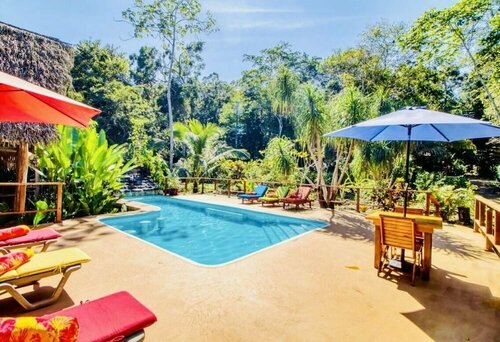 Гостиница Mariposa Jungle Lodge в Кайо