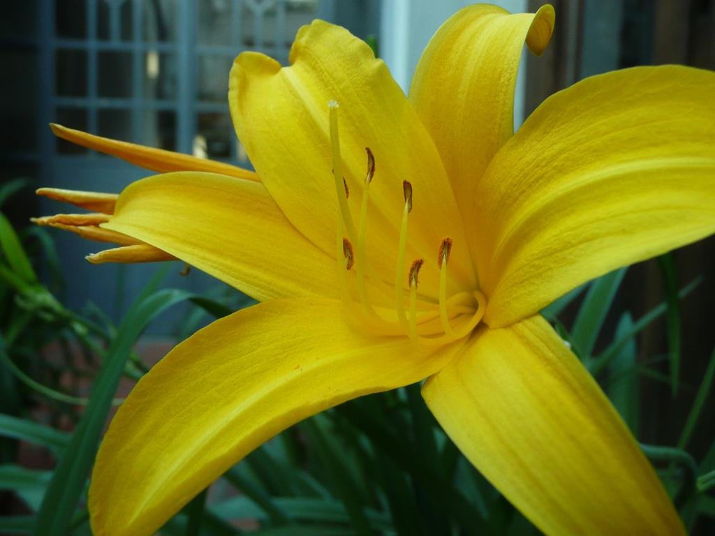 Фото Posada Gotan