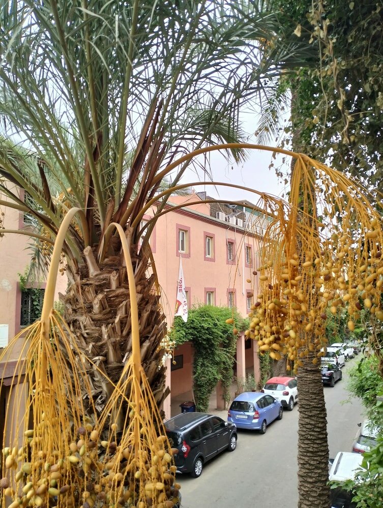 Фото Riad Green Lotus