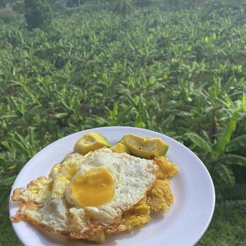 Гостиница Complejo Ecoturistico Rancho Cielo в Провинции Эспайльят