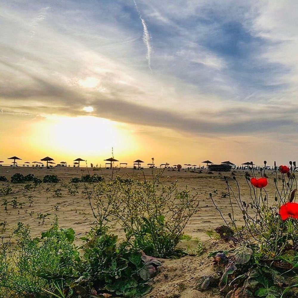 Фото Pasho's House