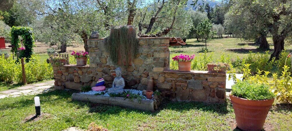 Фото Buen Camino Ssa