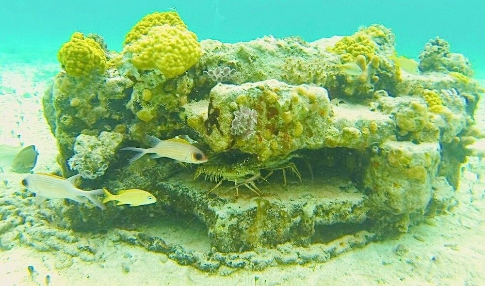 Фото Blue Ocean Village