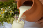 Goat Milk (Qurtqa kóshesі, 1) ، بيع منتجات الألبان بالجملة