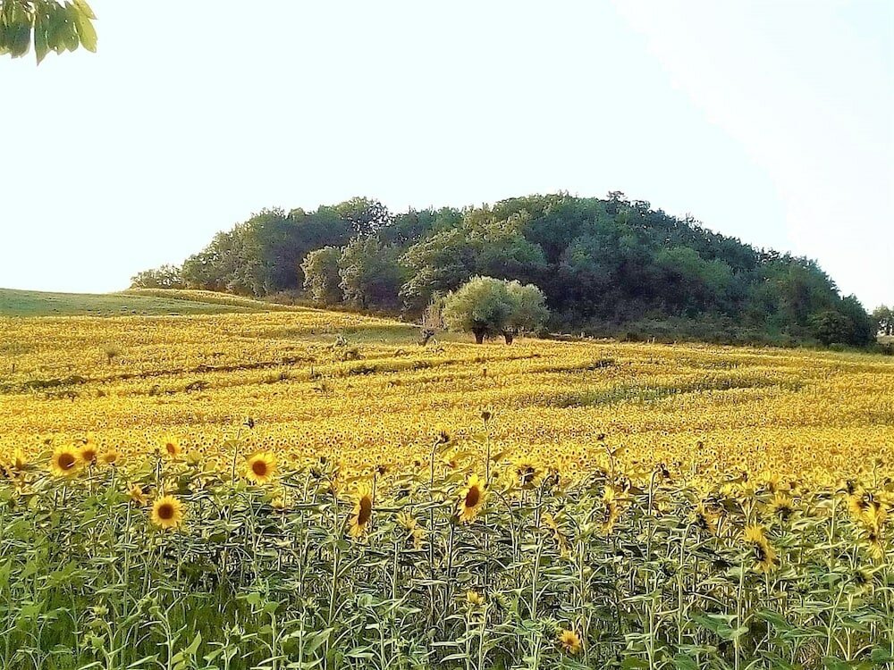 Фото Mansarda Viti