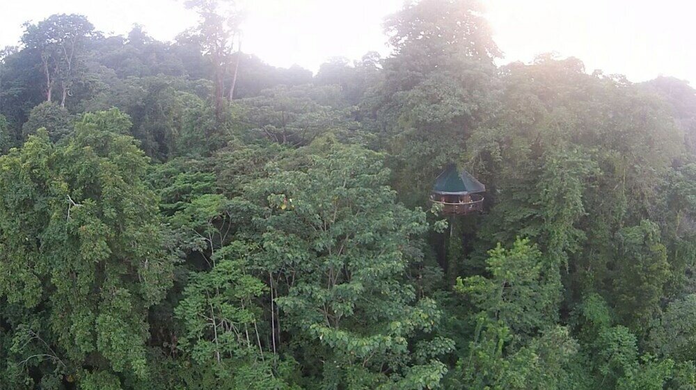 Фото Nature Observatorio Amazing Treehouse
