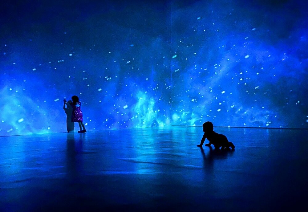 Фото Hotel La Casa de los Árboles