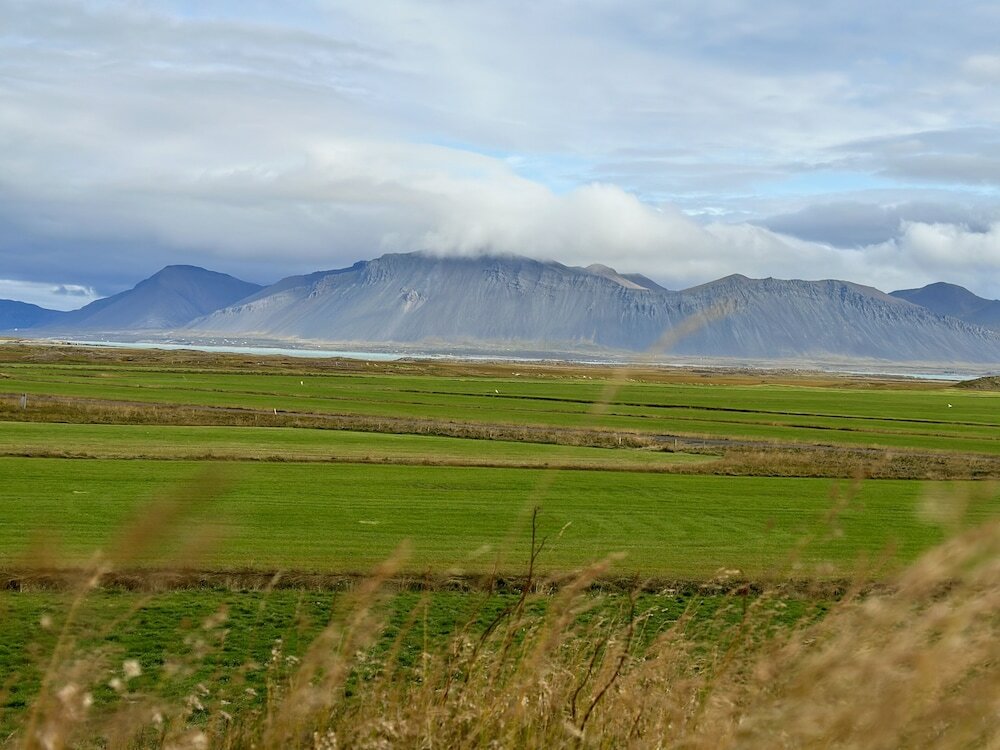 Фото Selið Farm Stay Guesthouse