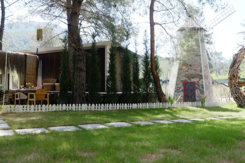 Фото Mossa Afkule