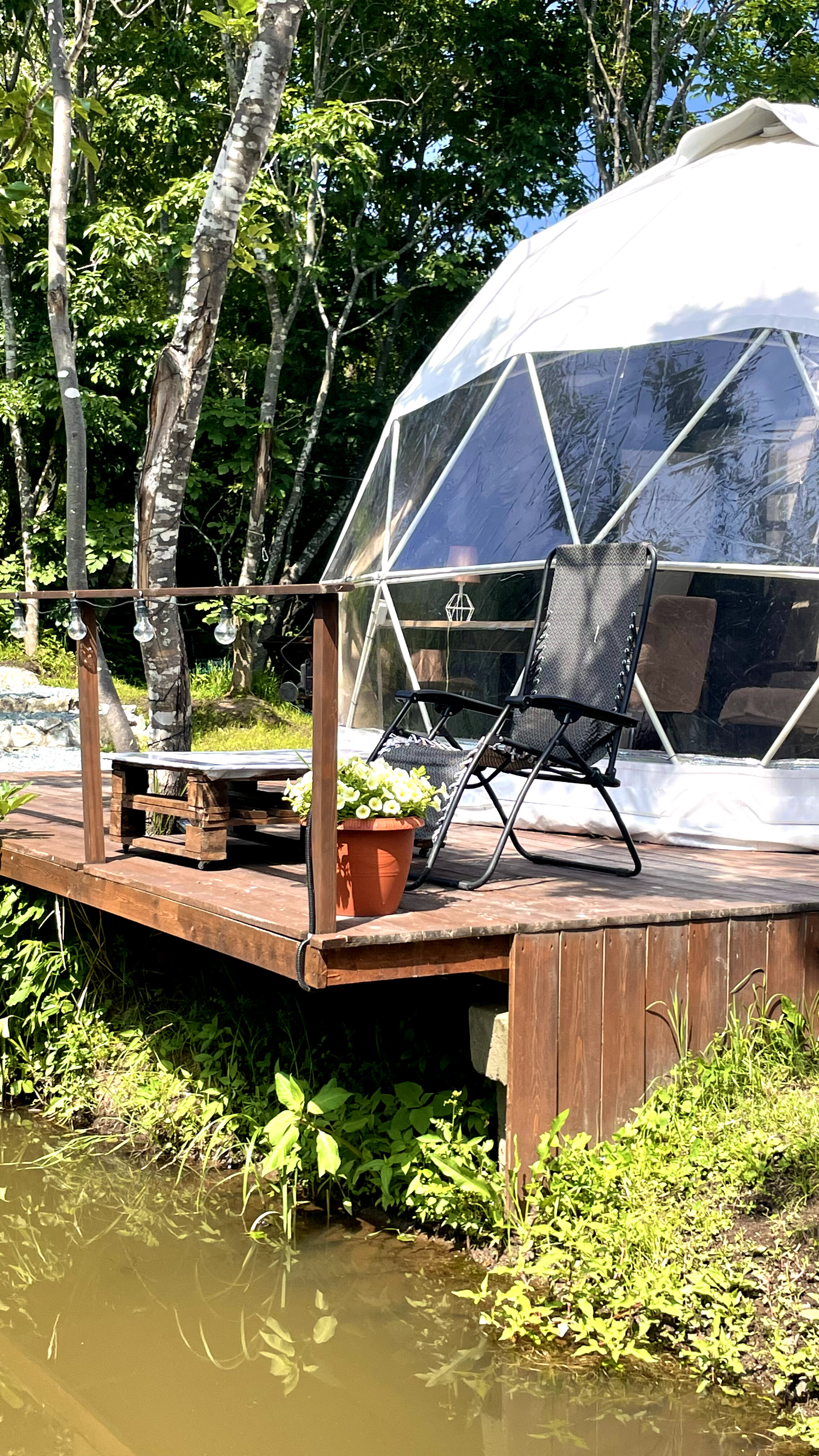 Фото Граф Потоцкий