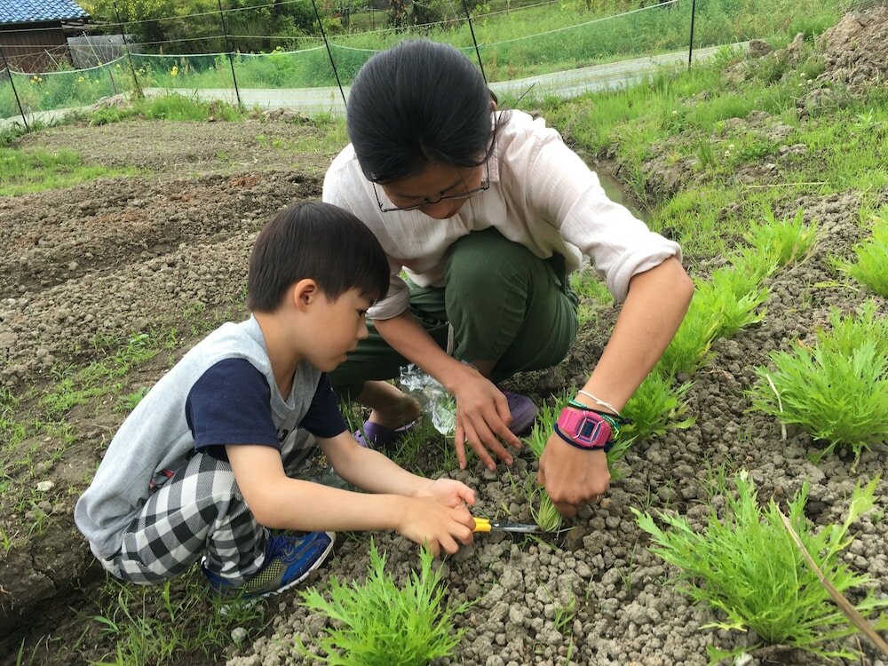 Фото Guest House Ilonggo