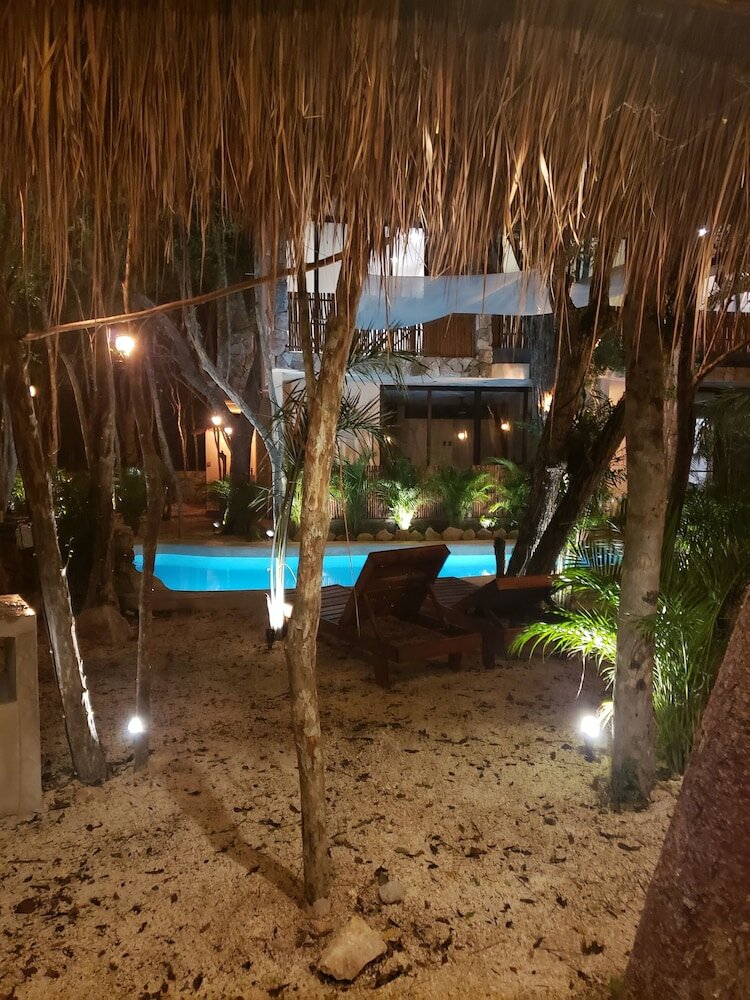 Фото Jungle Penthouse