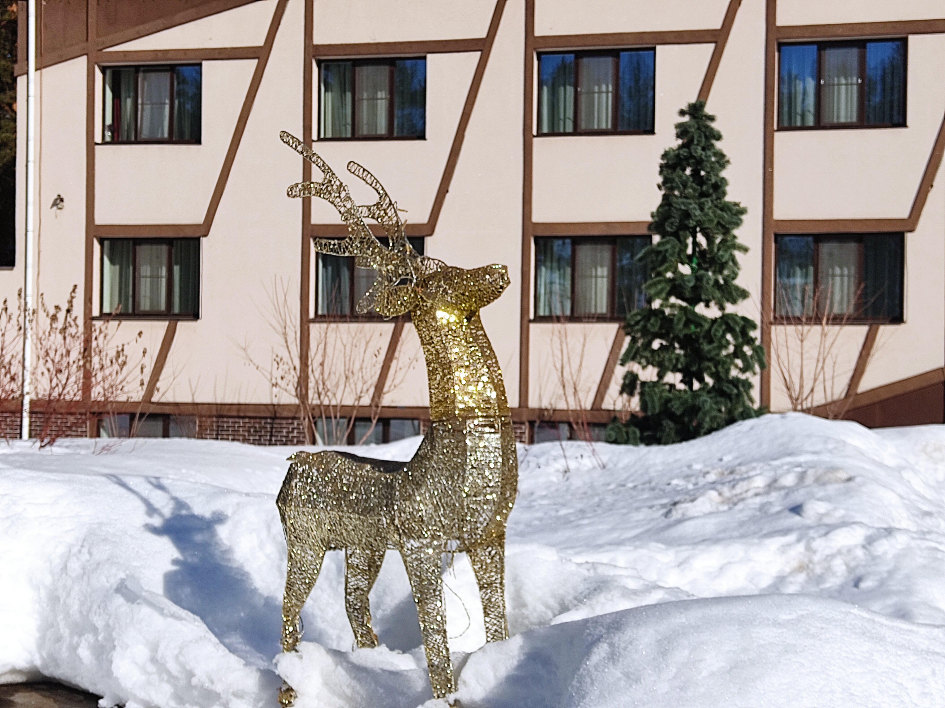 Фото Олимпия