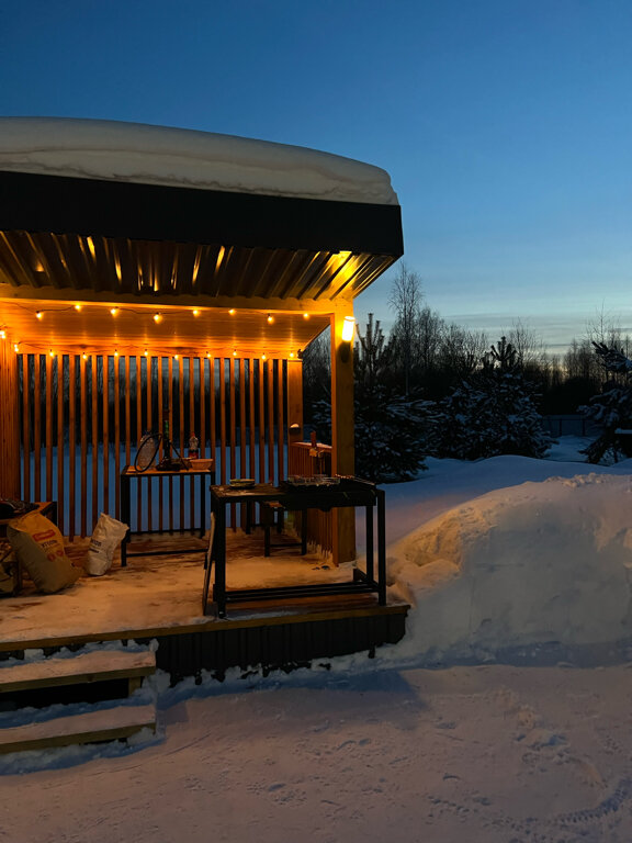 Фото Лес и Волга