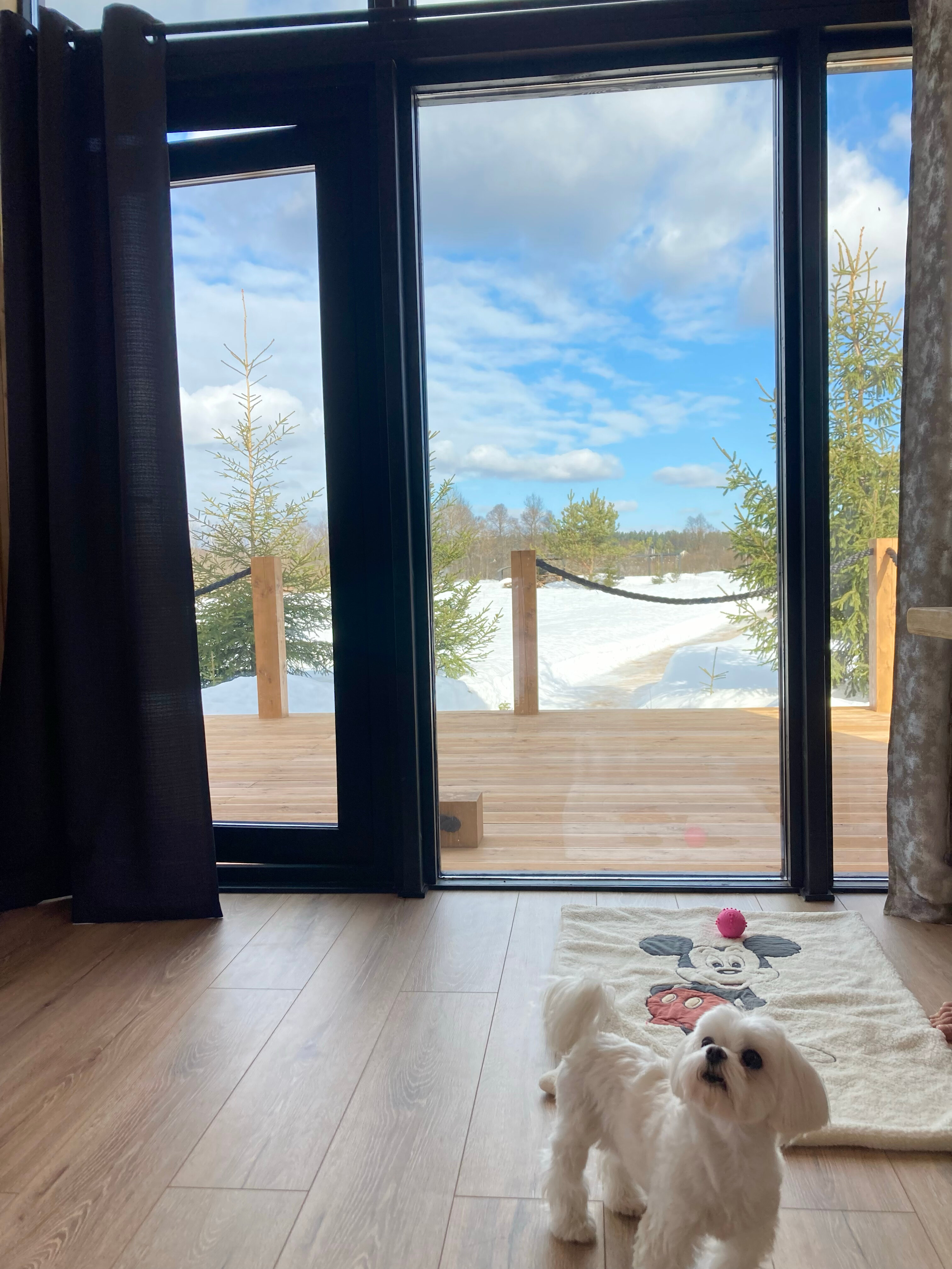 Фото Zefirka camp