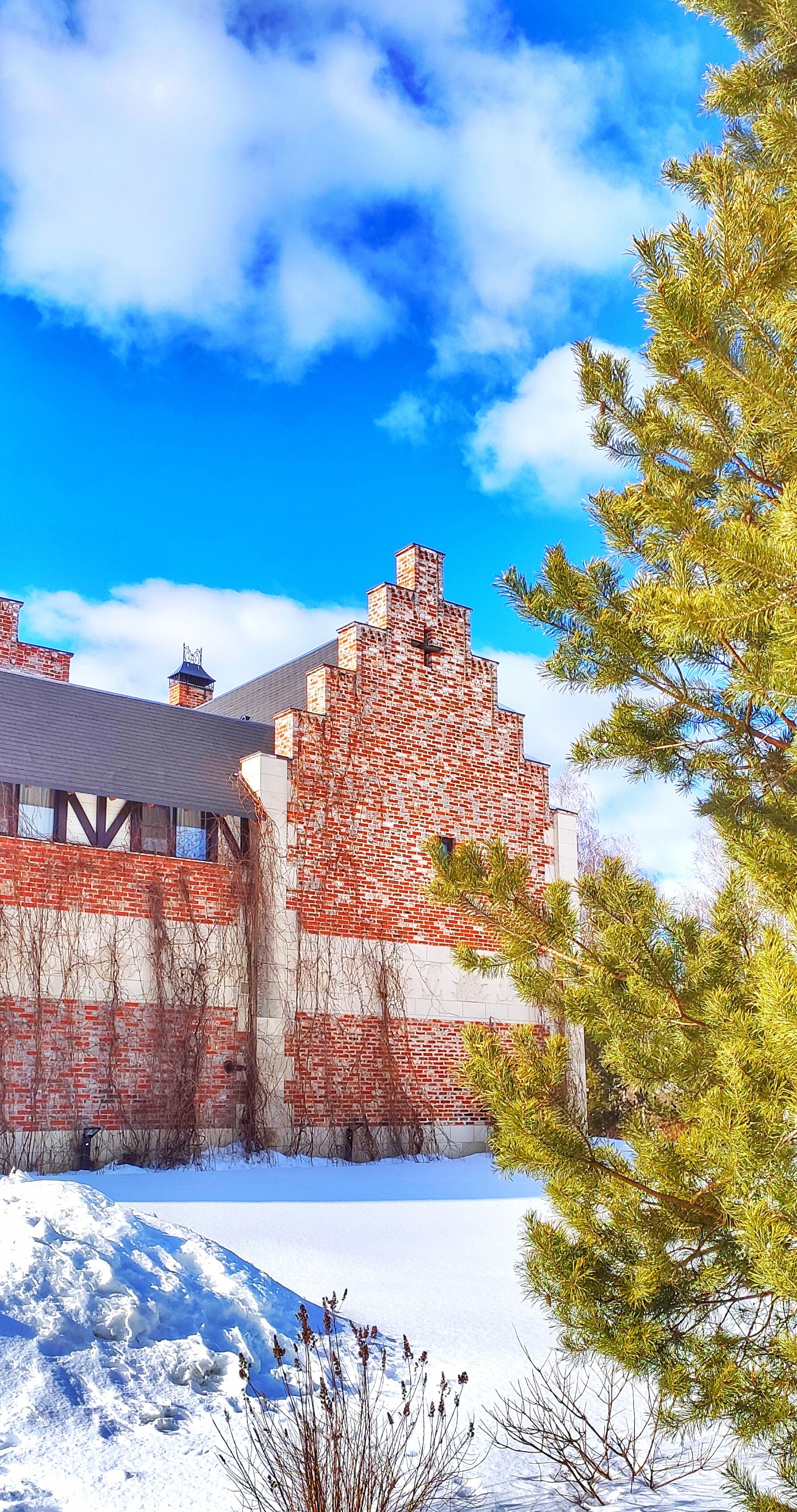 Фото La Ferme de Reve