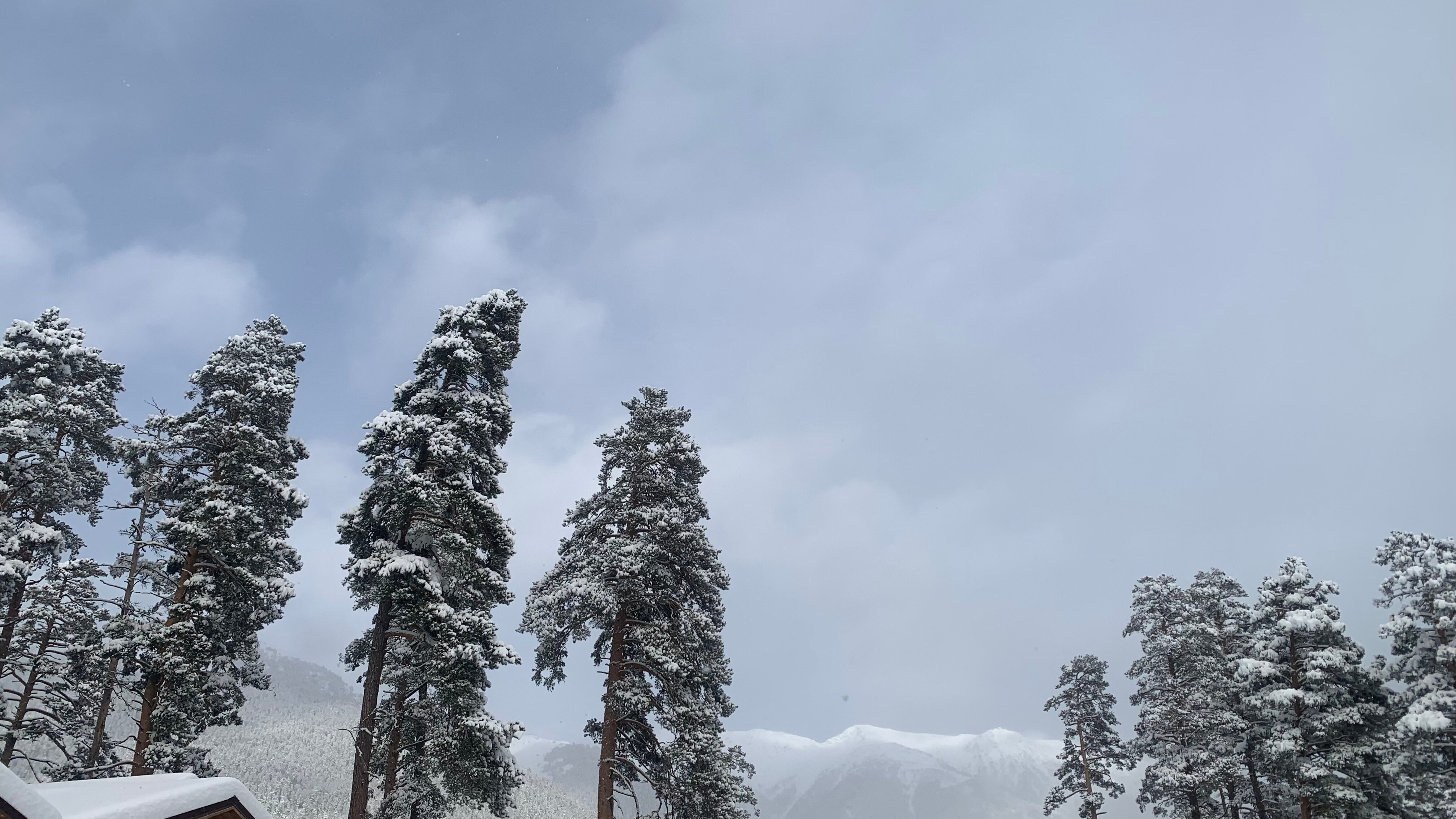 Фото КЪарча