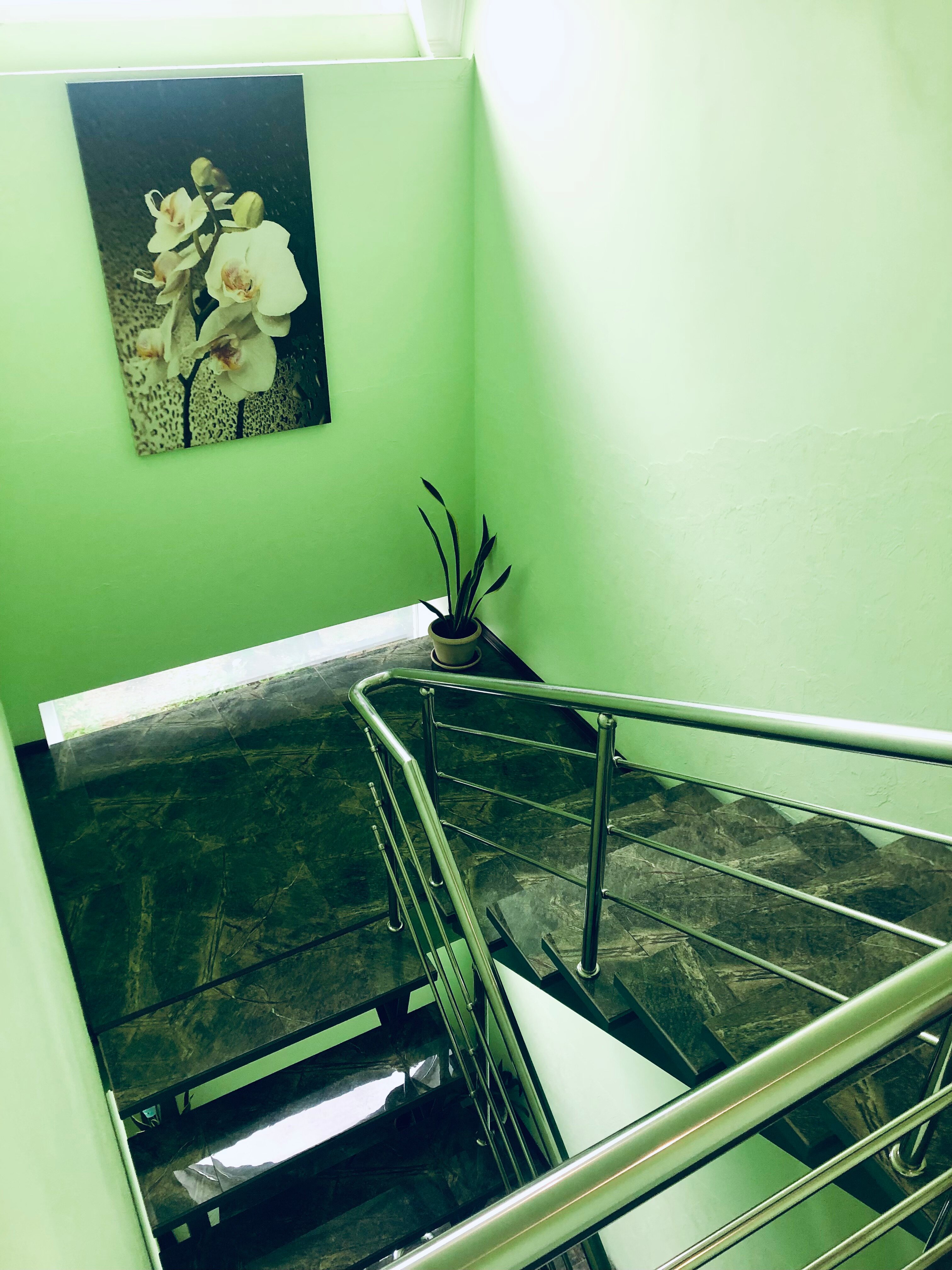 Фото СанБах