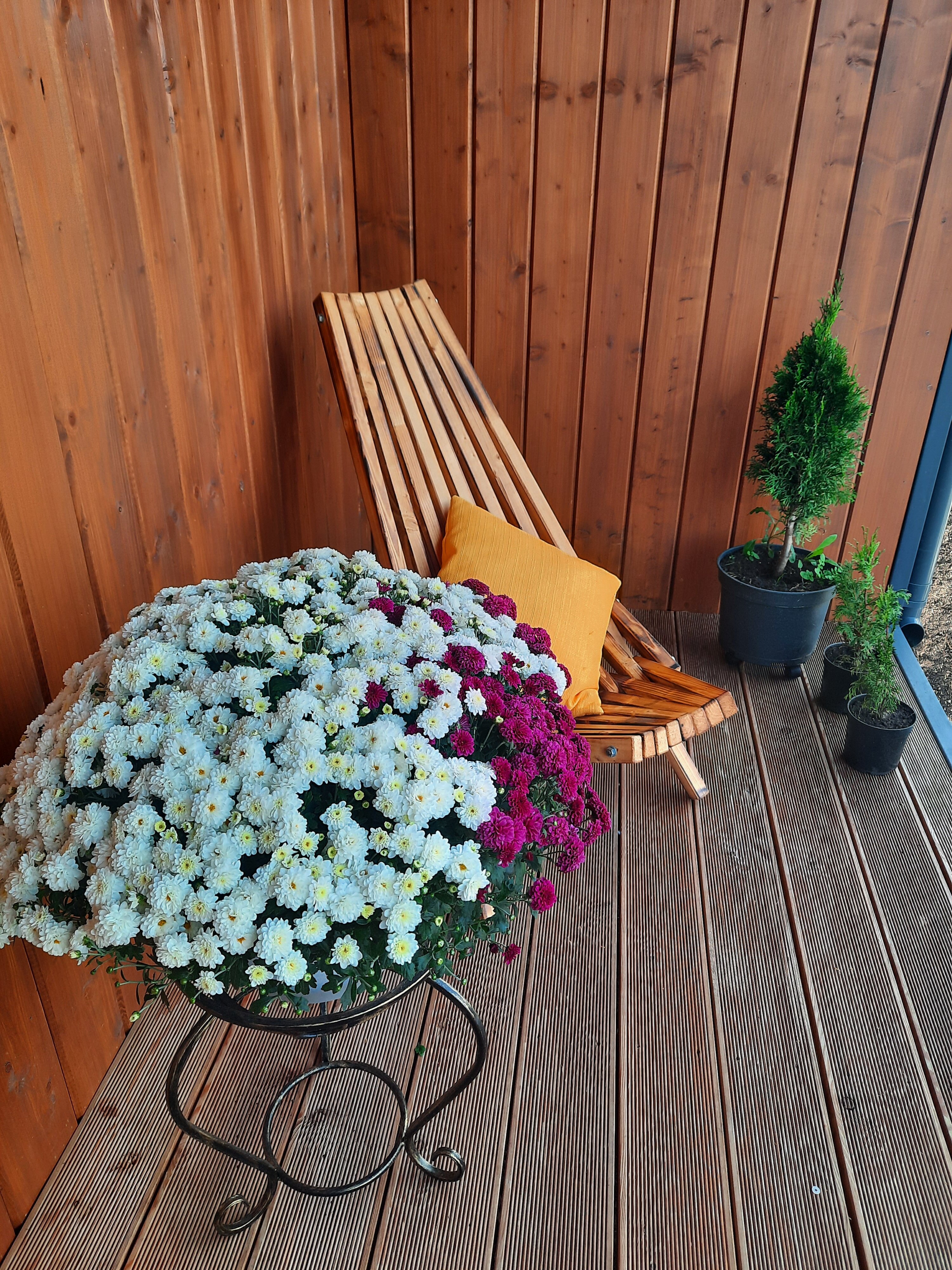 Фото Дом Шале