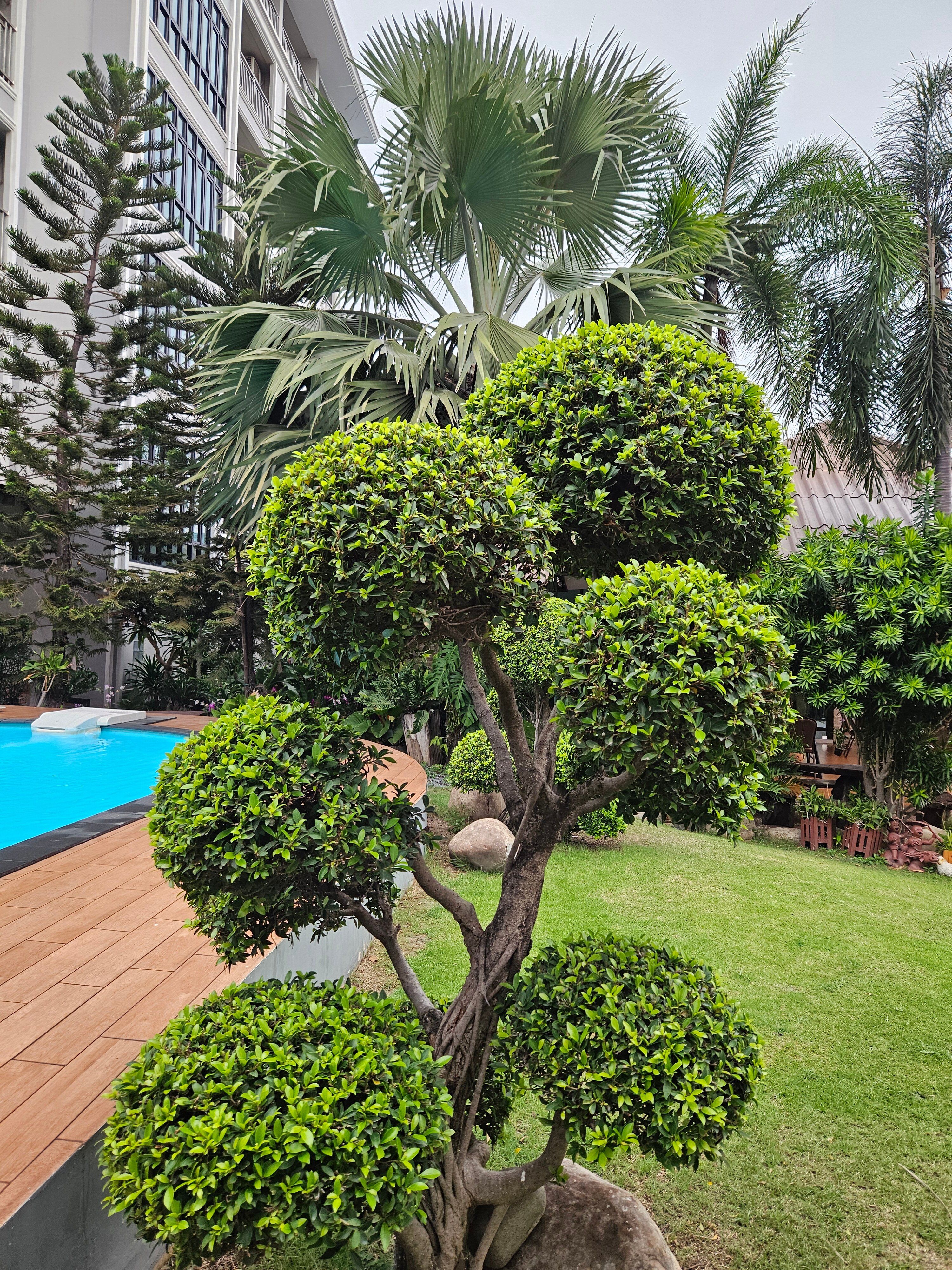 Фото Silver Gold Garden Suvarnabhumi Airport Hotel