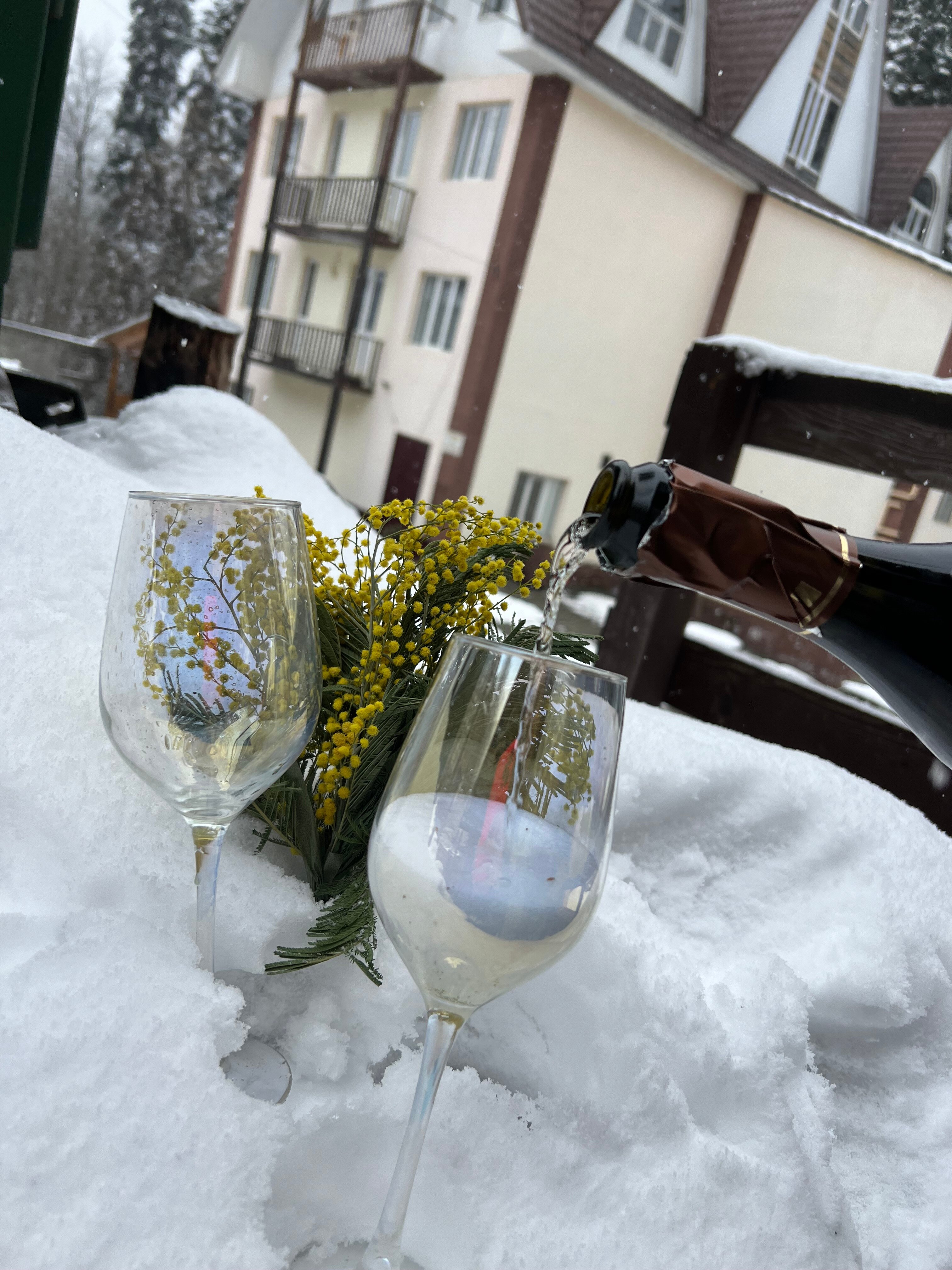 Фото Дубки Snow Point